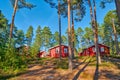 Typical Scandinavian Houses in Pine Forest