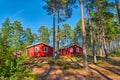Typical Scandinavian Houses in Pine Forest