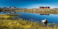 Typical Scandinavian Red Painted Cabins