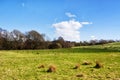Typical Scottish countryside in springtime, field and woodlands Royalty Free Stock Photo