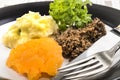 Typical scottish food, haggis with mashed potatoes and mashed po