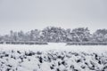 Rural winter snow scene on Wetley Moor, Staffordshire, UK