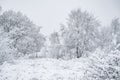 Rural winter snow scene on Wetley Moor, Staffordshire, UK