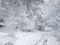 Rural winter snow scene on Wetley Moor, Staffordshire, UK