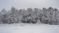Rural winter snow scene on Wetley Moor, Staffordshire, UK