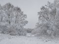 Rural winter snow scene on Wetley Moor, Staffordshire, UK