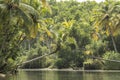 Typical Serene River Stream amid coconut palms Royalty Free Stock Photo