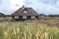 Typical small danish house of black wood with thatched roof in the middle of a field Royalty Free Stock Photo