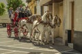 Typical Spanish coachmen ride tourists in a four-horse-drawn carriage in the streets of Jerez de la Frontera, Andalusia, Spain May