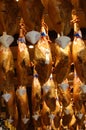 Typical spanish hams photographed in Granada (Andalusia Spain). Jamon