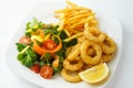 Typical Spanish portion of fried squid
