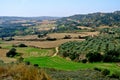 Typical spanish rural landscape, agricultural fields of Aragon