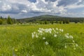 Typical spring landscape near Stozec, Nation park Sumava, Czech Republic