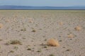 Typical steppe landscape