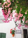 Street of the Andalusian white town, Spain, with flowerpots and bougainvillea, located in MojÃÂ¡car, AlmerÃÂ­a Royalty Free Stock Photo