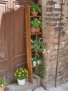 Spello - typical street gardens