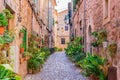 Typical street with potted flowers and plants in Valldemossa village, Majorca Spain Royalty Free Stock Photo