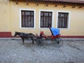 Cartage in Trinidad. Trinidad is a city in the province of Sancti Spiritus, central Cuba.