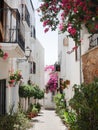 Street of white Andalusian village, spain, with flower pots and greenery, located on Mojacar, AlmerÃÂ­a Royalty Free Stock Photo