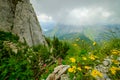 Typical summer mountains Switzerland landscape Royalty Free Stock Photo