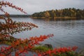 Typical swedish beach or coast close to Stockholm