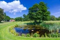 Typical Swedish water pond on the golf course Royalty Free Stock Photo