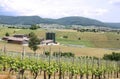 A typical Swiss Farm Landscape Royalty Free Stock Photo