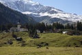 Typical Swiss village with snow on the mountains