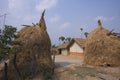 Typical Tharu house in Terai, Nepal Royalty Free Stock Photo