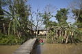 Typical tharu village, Bardia, Nepal Royalty Free Stock Photo