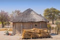 Typical thatched roof African round hut in Botswana