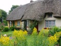 Typical Thatched Roof cottage in Ireland Royalty Free Stock Photo