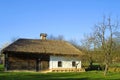 Typical thatched roof house