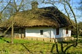 Typical thatched roof house