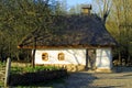 Typical thatched roof house