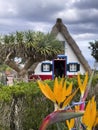 Typical, traditional, colorful houses in Madeira Royalty Free Stock Photo