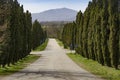Typical tree-lined avenue with cypress trees in Tuscany Royalty Free Stock Photo