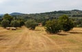 typical Tuscan farmhouse in Italy Royalty Free Stock Photo