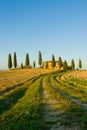 Typical tuscan landscape Royalty Free Stock Photo