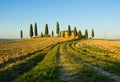 Typical tuscan landscape Royalty Free Stock Photo