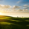 Typical Tuscan landscape. Green meadow with cypress trees on horizon in sunset. Royalty Free Stock Photo