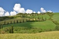 Typical Tuscan landscape. Italy Royalty Free Stock Photo