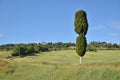 Typical Tuscan landscape. Italy Royalty Free Stock Photo