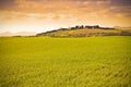 Typical tuscan landscape Italy - Pisa - toned image Royalty Free Stock Photo
