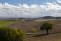 Typical Tuscan landscape near Siena, Tuscany, Italy Royalty Free Stock Photo