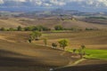 Typical Tuscan landscape near Siena, Tuscany, Italy Royalty Free Stock Photo