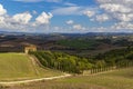 Typical Tuscan landscape in Val d'orcia, Italiy