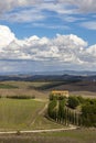 Typical Tuscan landscape in Val d'orcia, Italiy