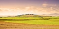 Typical tuscan landscape & x28;Italy - Pisa& x29; - toned image