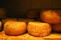 Typical tuscan pecorino cheese Royalty Free Stock Photo